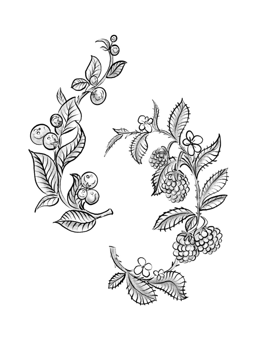 Mermaid and piranhas