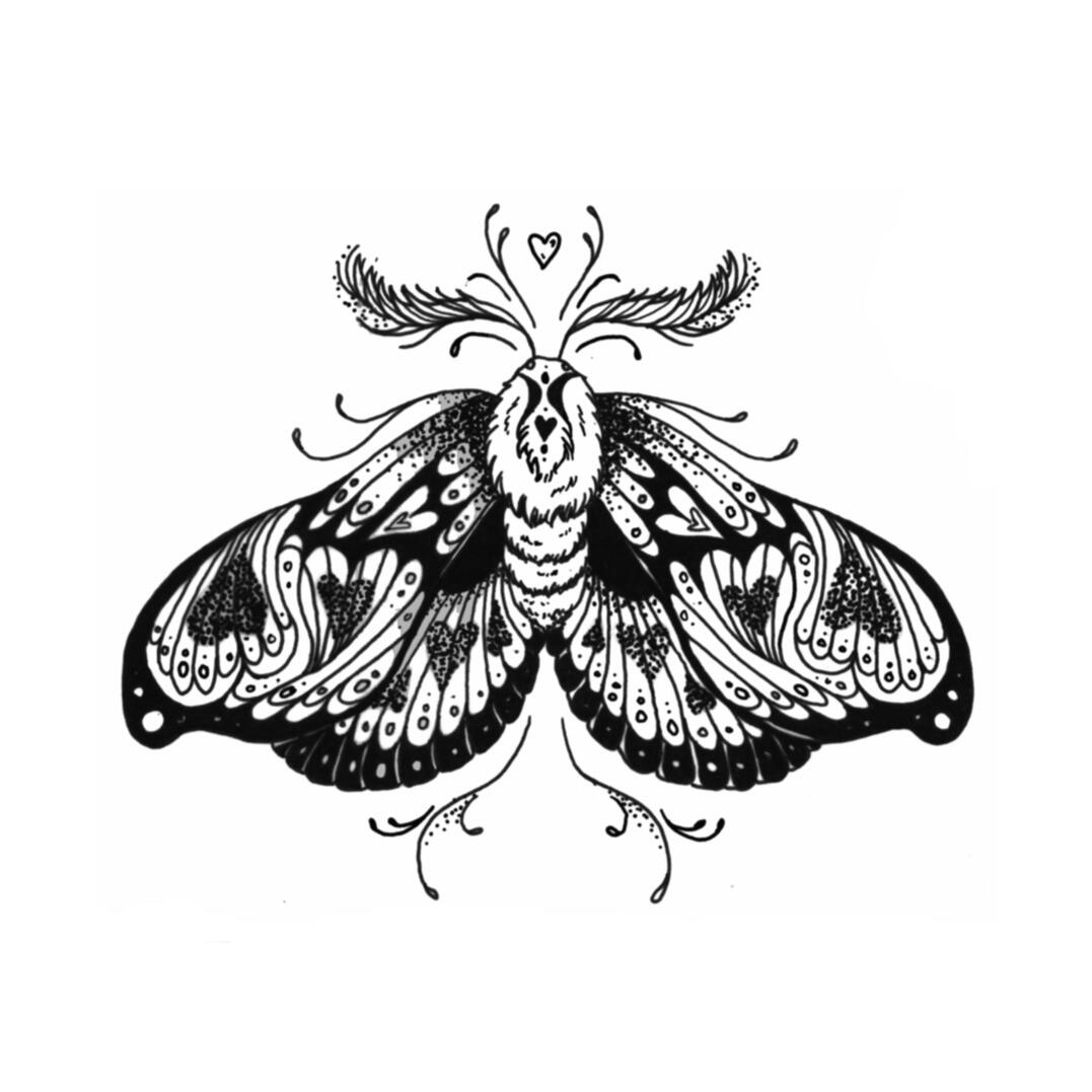 Moth
